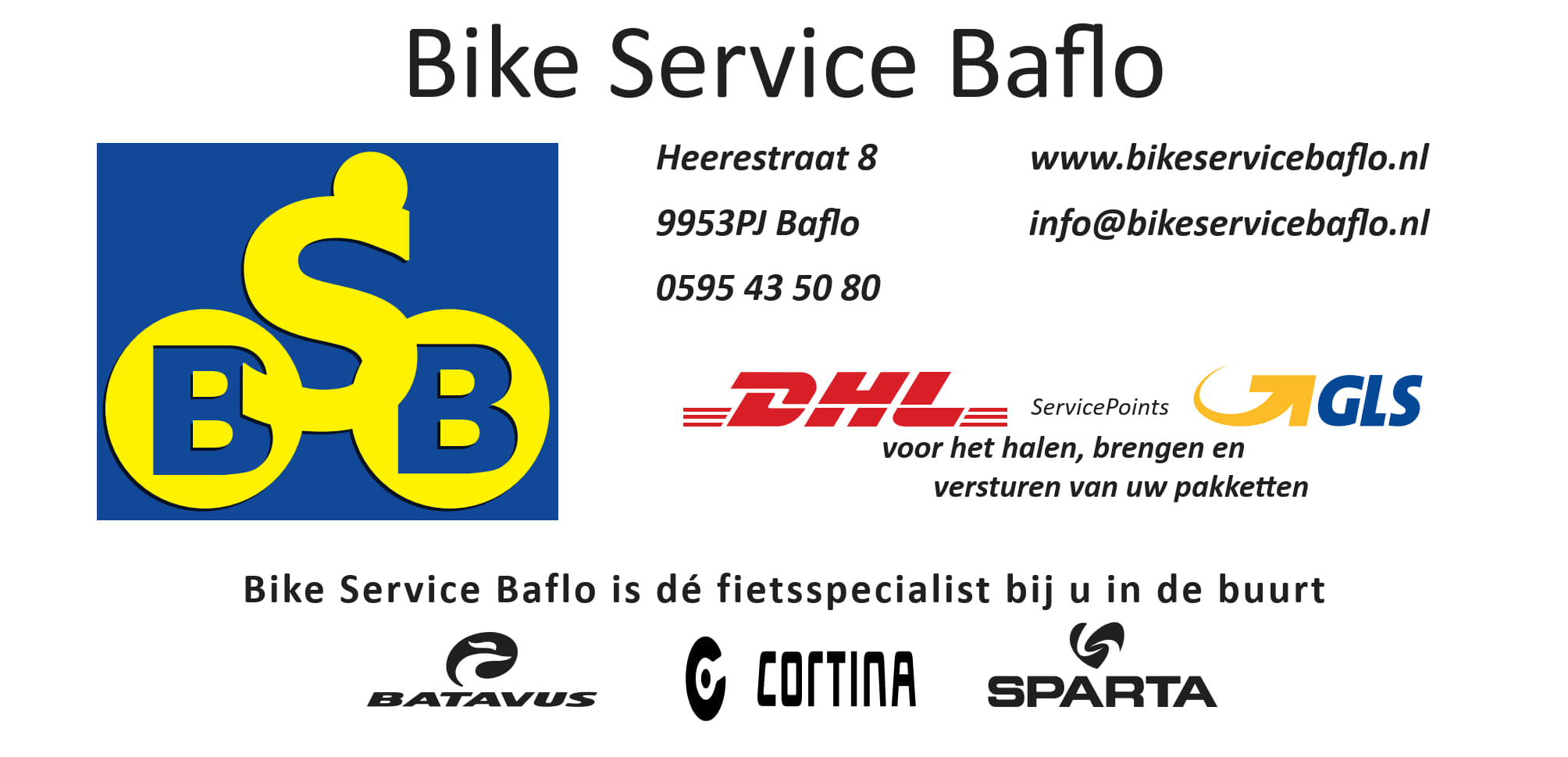 Bike Service Baflo